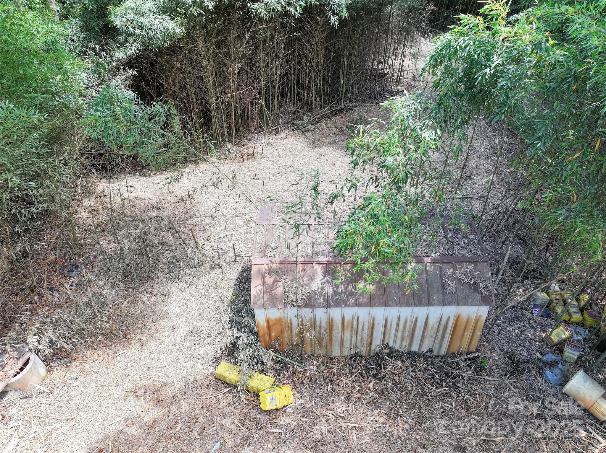 4585 Sunrise Beach Road Catawba, NC 28609 - Photo 27 of 32 a view of a backyard with plants