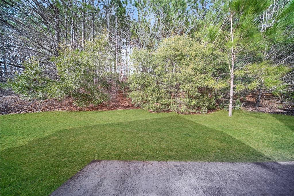 11171 Knotty Pine Place Hampton, GA 30228 - Photo 22 of 26 a view of a field with trees in the background