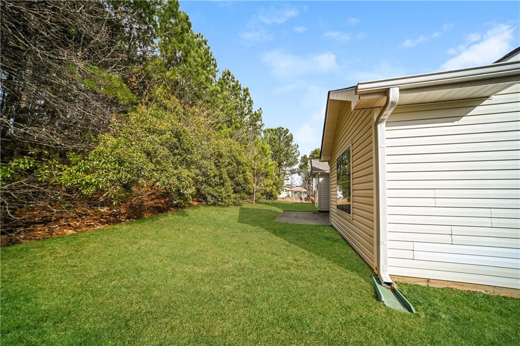 11171 Knotty Pine Place Hampton, GA 30228 - Photo 24 of 26 a view of a back yard of the house
