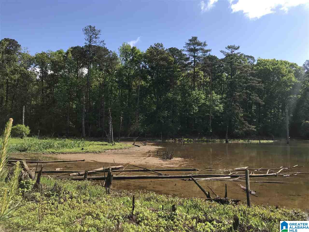 0 Steele Gap Road North, Unit 11 4 Steele, AL 35987 - Photo 4 of 26