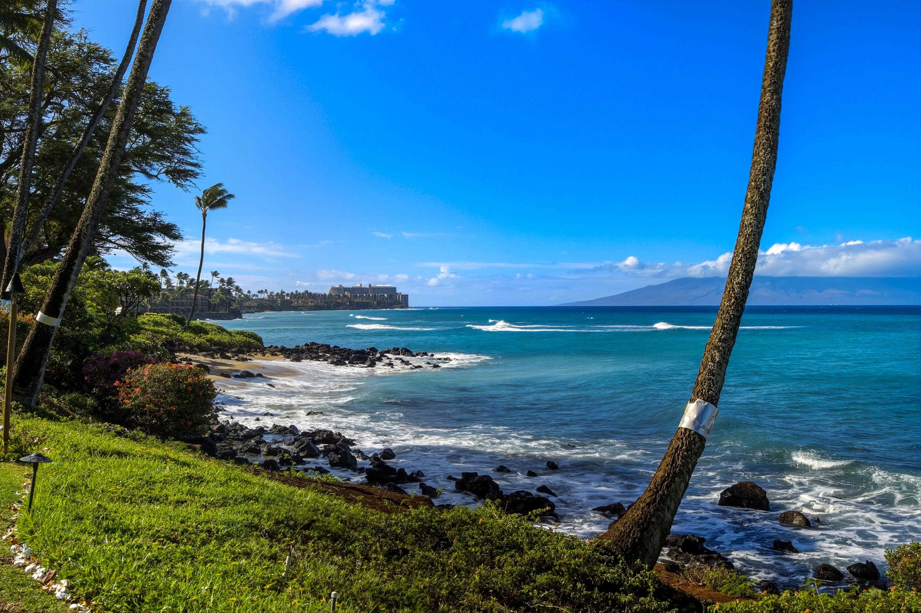 3975 Lower Honoapiilani Road, Unit 114 Lahaina, HI 96761 - Photo 2 of 31