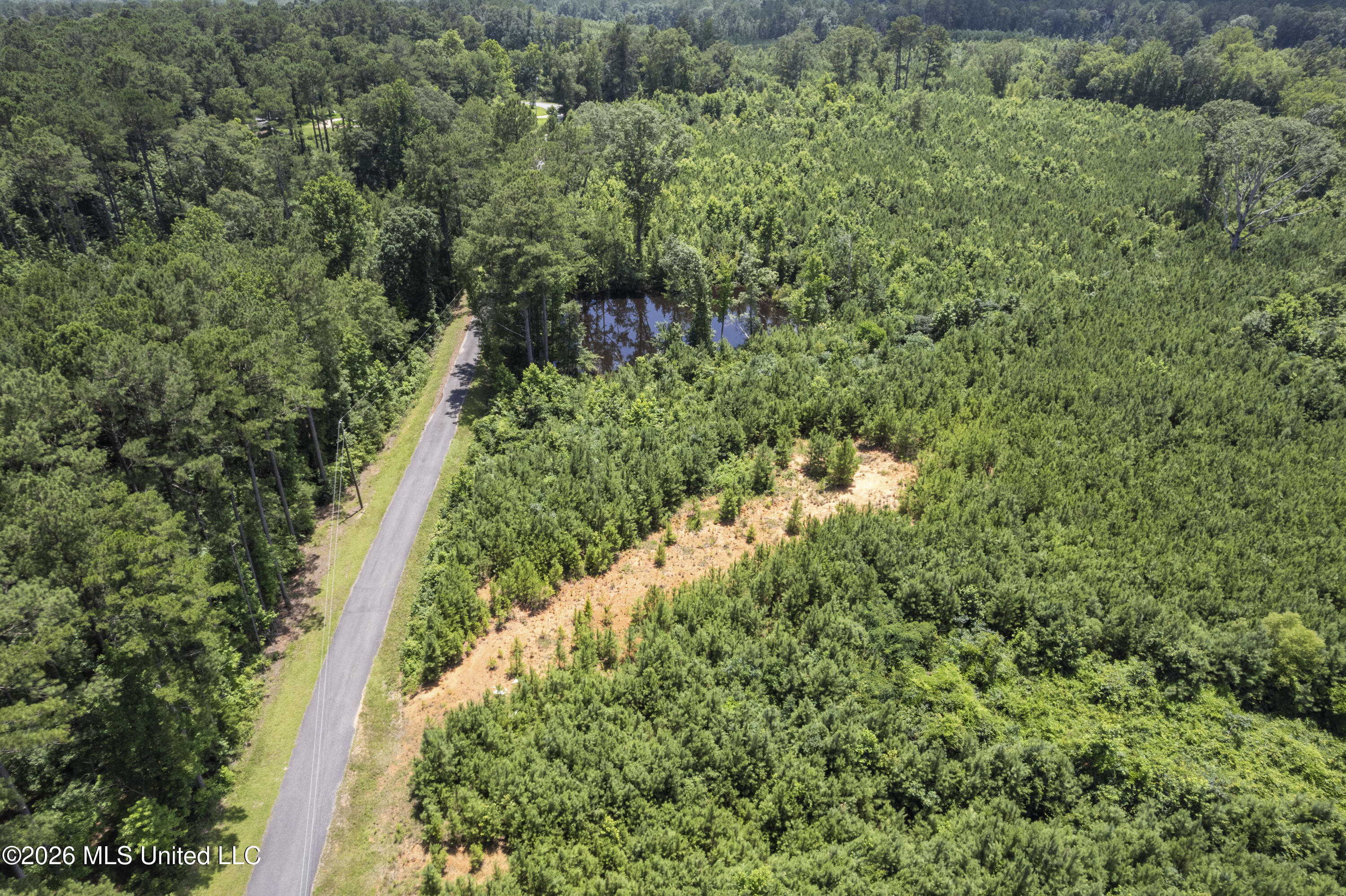 13 Co Road Louin, MS 39338 - Photo 24 of 29 DJI_0286