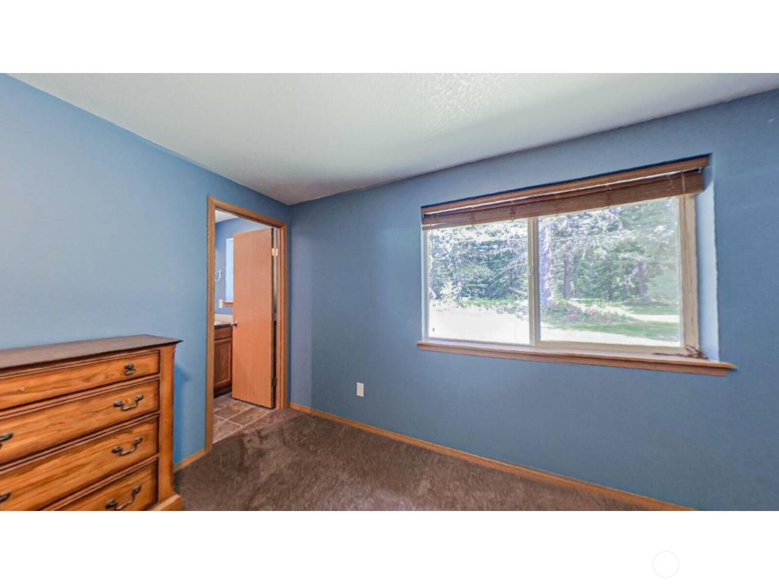152 Shelton Road Randle, WA 98377 - Photo 19 of 33