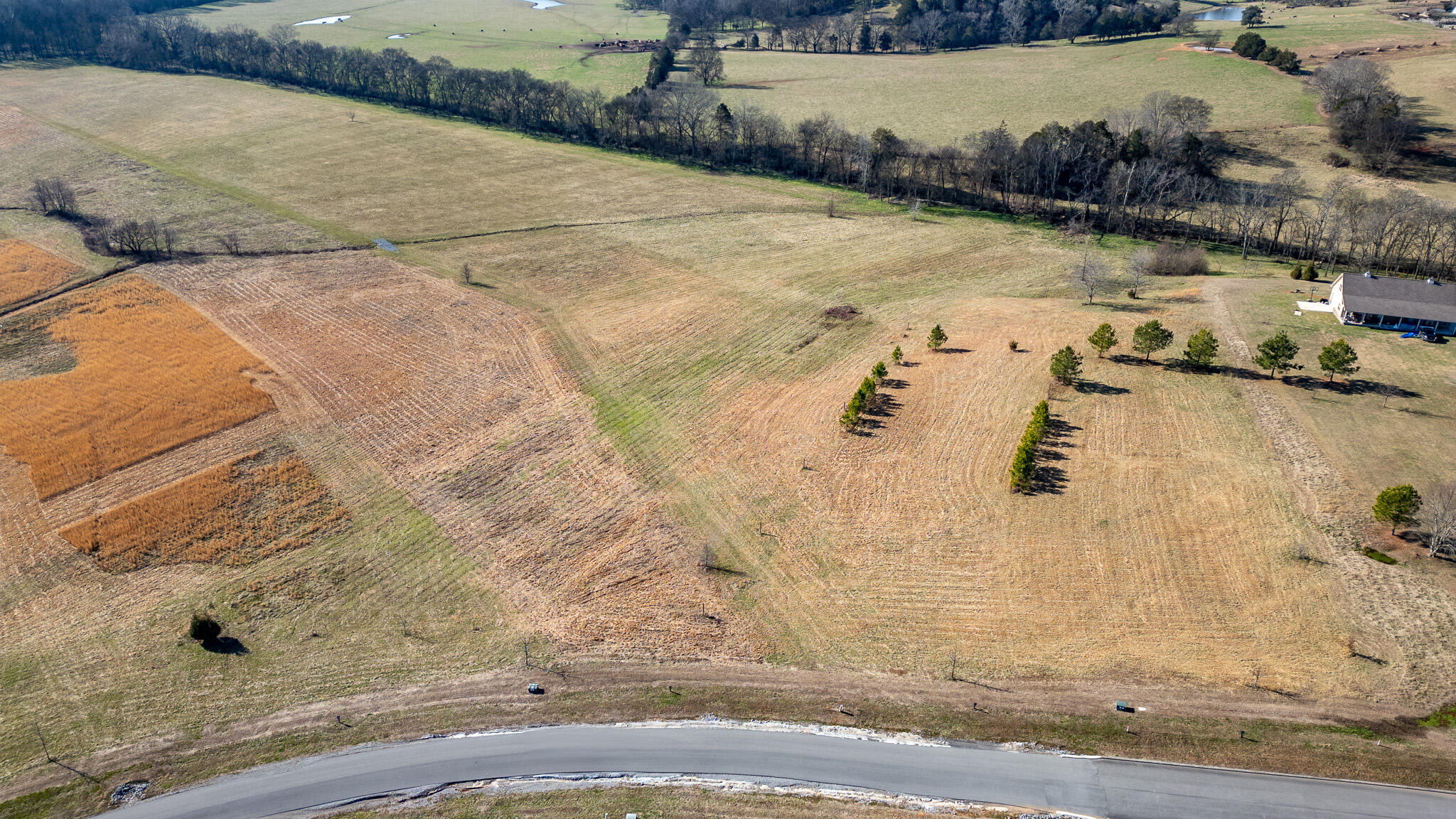 123 River Ridge Drive Dunlap, TN 37327 - Photo 2 of 11 DJI_0069-HDR
