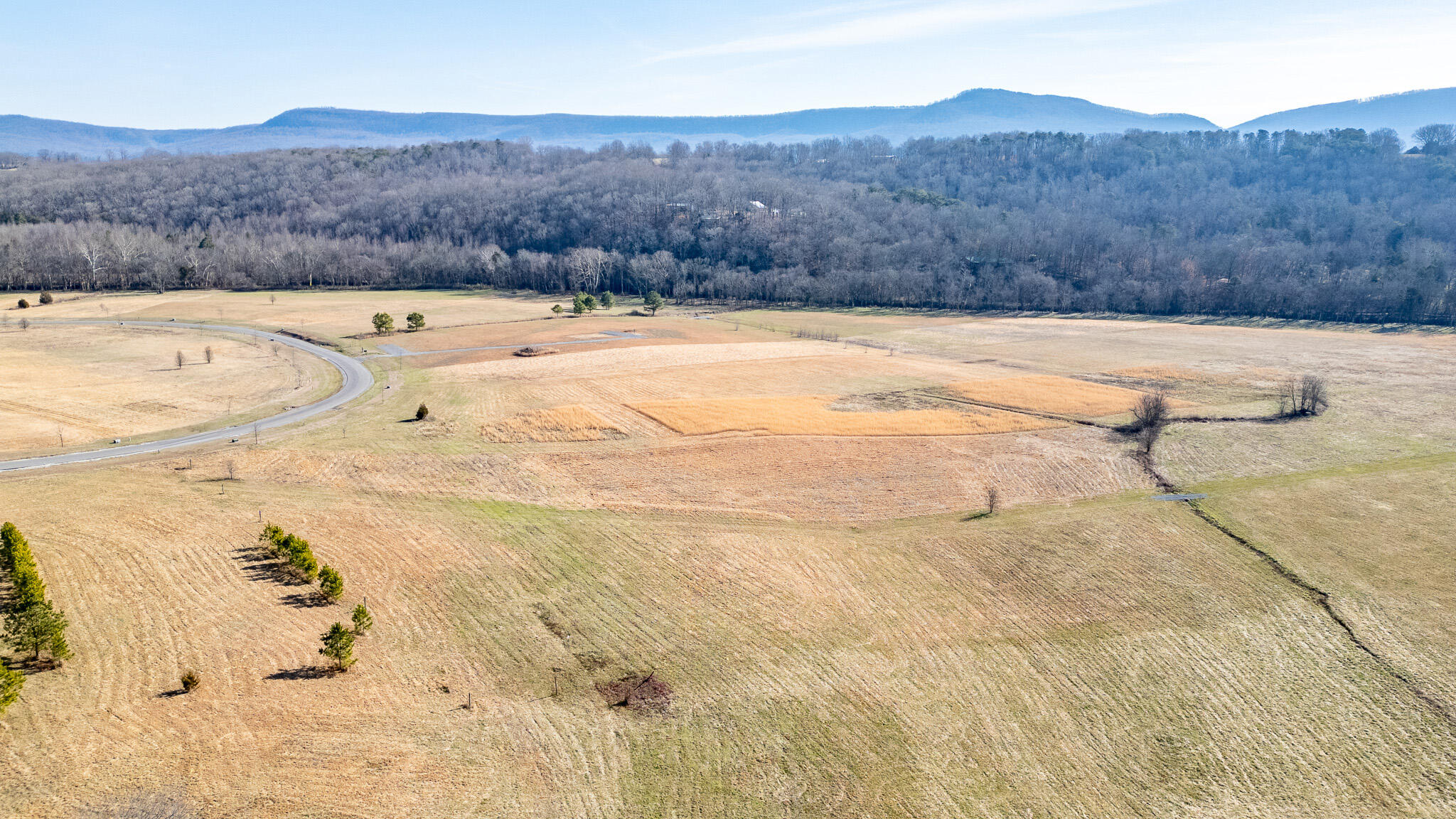 123 River Ridge Drive Dunlap, TN 37327 - Photo 5 of 11 DJI_0048-HDR
