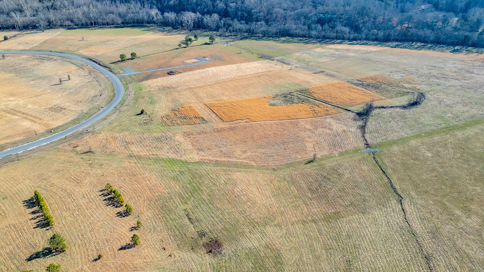 123 River Ridge Drive Dunlap, TN 37327 - Photo 6 of 11 DJI_0051-HDR