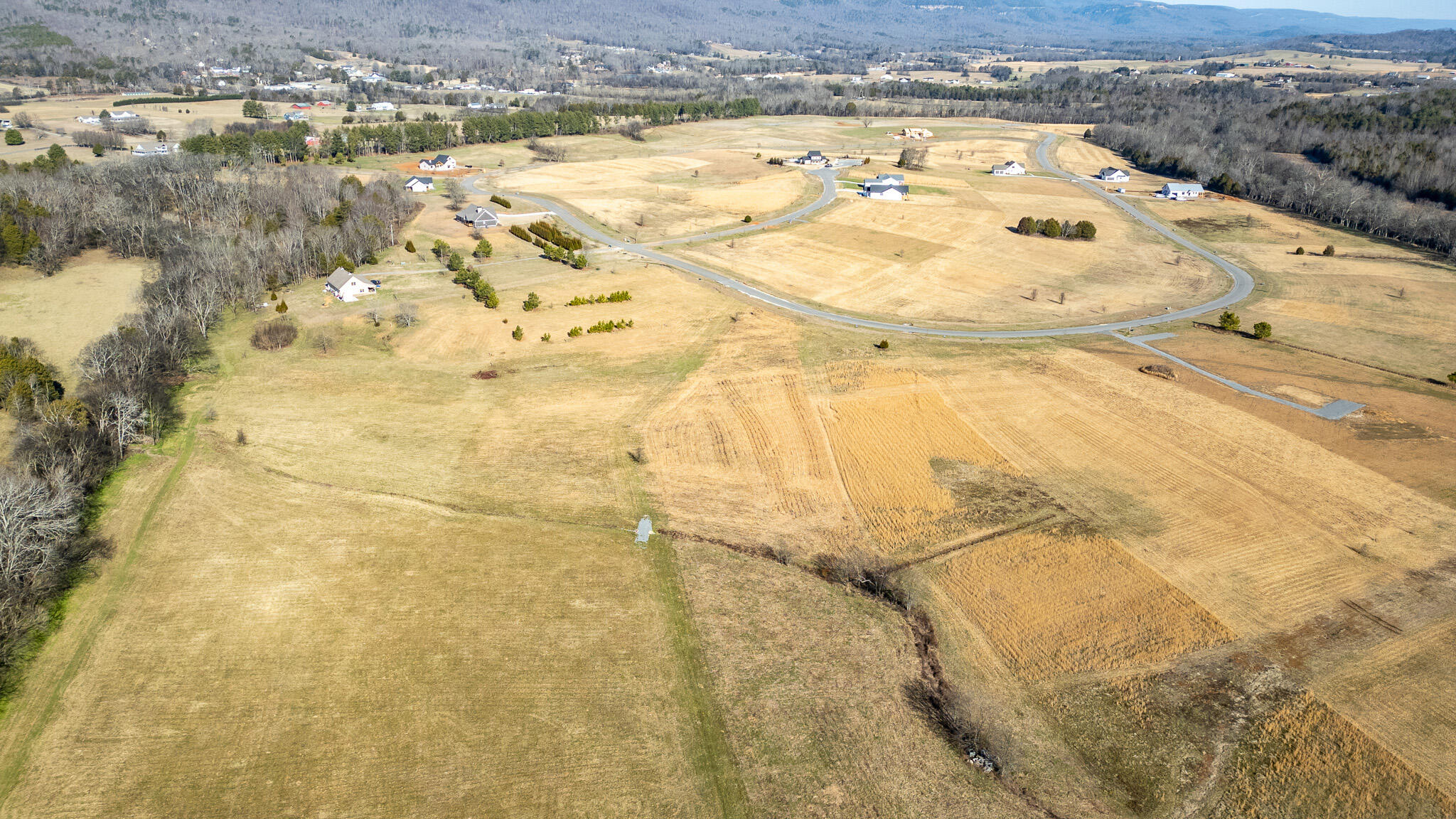 123 River Ridge Drive Dunlap, TN 37327 - Photo 7 of 11 DJI_0054-HDR
