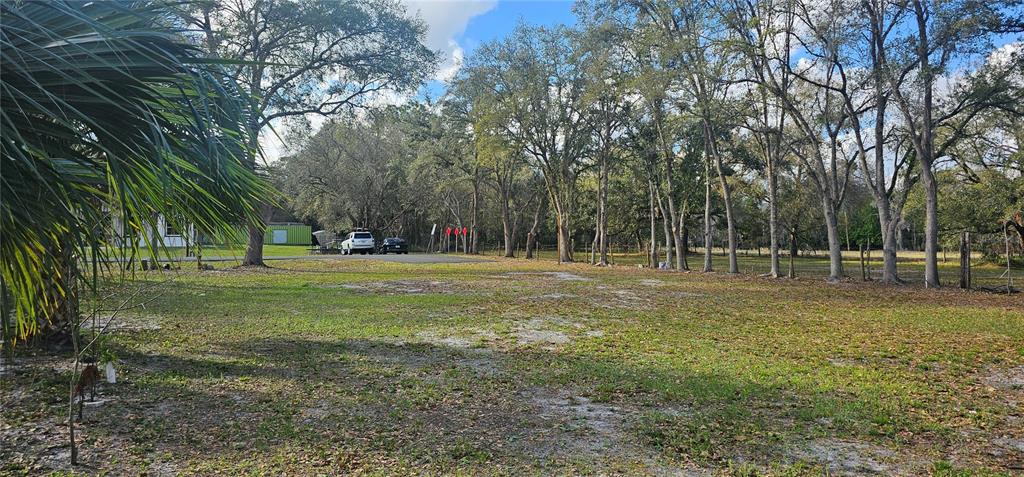 Immokalee Street Kissimmee, FL 34746 - Photo 11 of 17