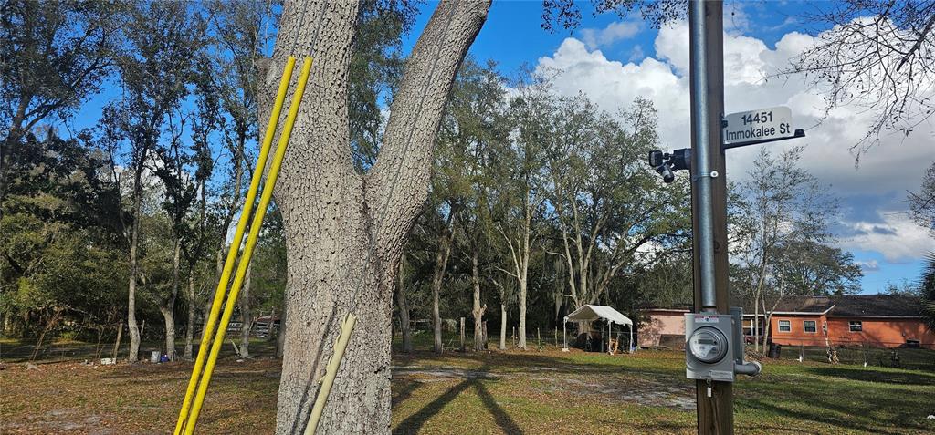 Immokalee Street Kissimmee, FL 34746 - Photo 17 of 17
