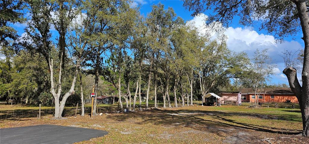 Immokalee Street Kissimmee, FL 34746 - Photo 4 of 17