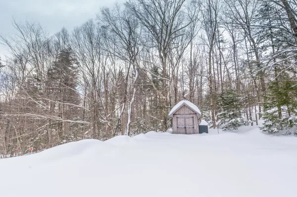 $625,000 | 68 Ellis Brook Road, West Dover, VT 05356
