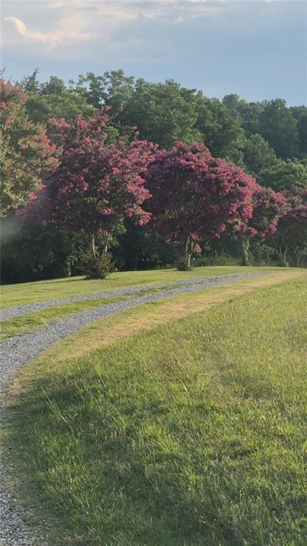 141 Old Thomas Farm Road Lexington, NC 27295 - Photo 5 of 15 trees in bloom towards the back of the property