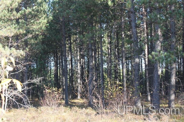 Tbd Missouri Rd - Co Rd 565, Unit LAT 46 31633 LON 87 5822 Gwinn, MI 49841 - Photo 2 of 30