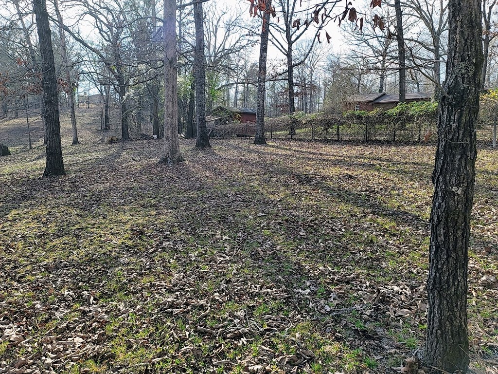11 Copperhead Road Seale, AL 36875 - Photo 12 of 51 Gallery Image 12