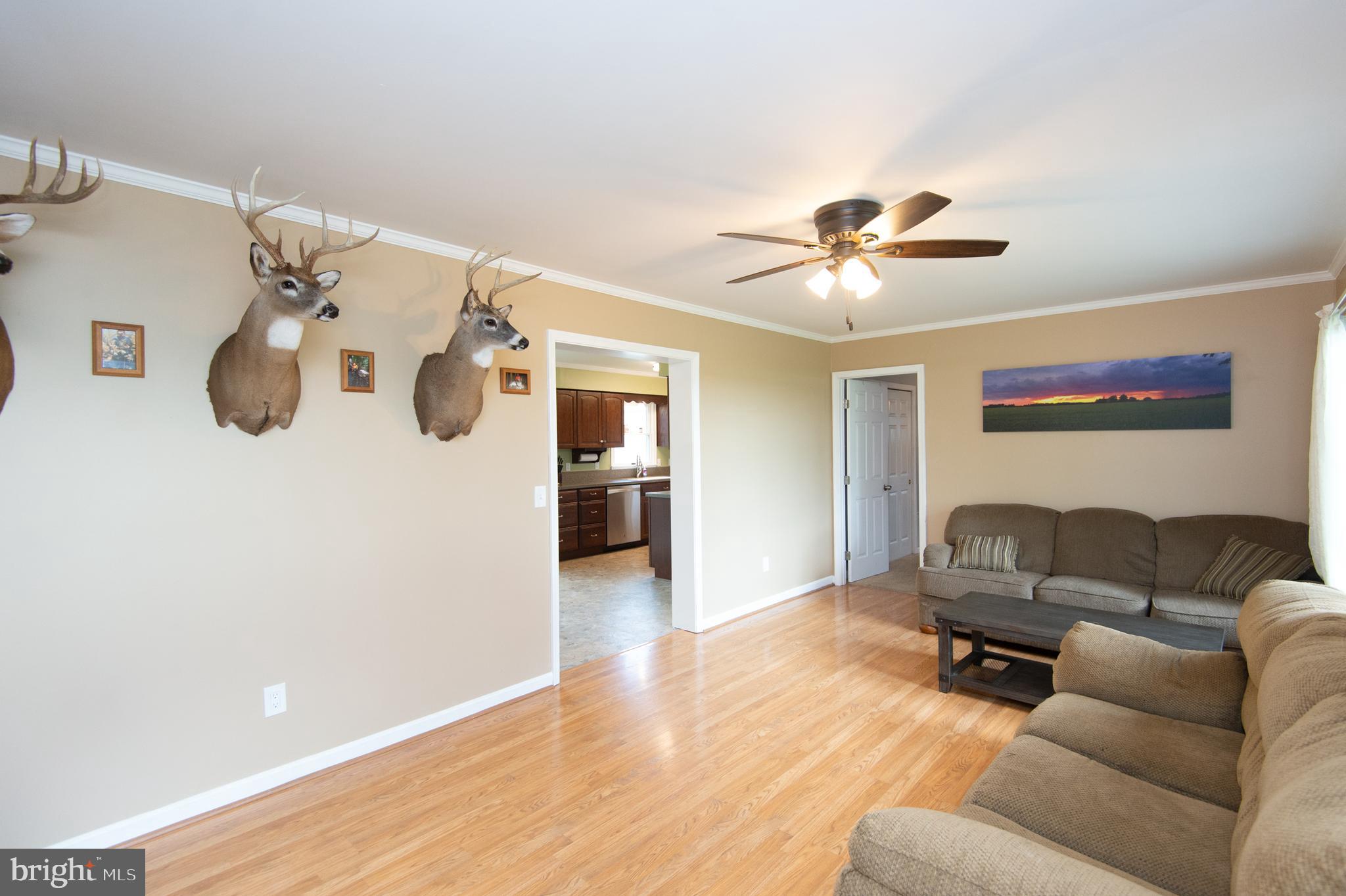 4454 Blink Horn Road Hurlock, MD 21643 - Photo 3 of 33 Gallery Image 3