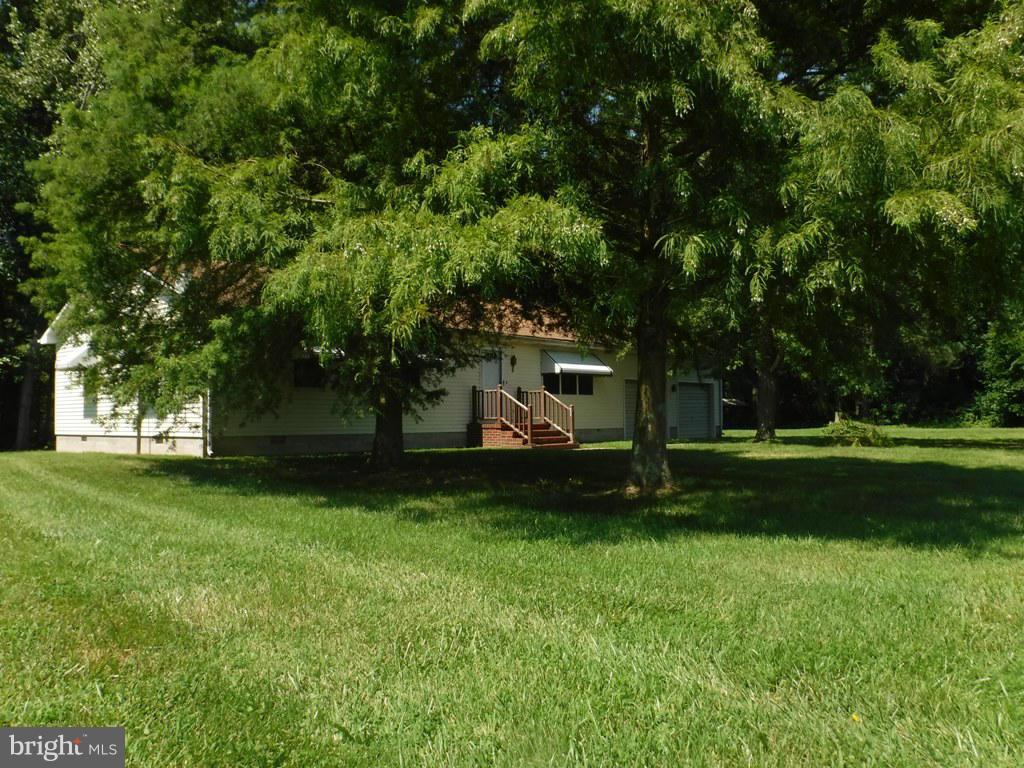 3416 Indian Bone Road Cambridge, MD 21613 - Photo 14 of 30 Mature trees