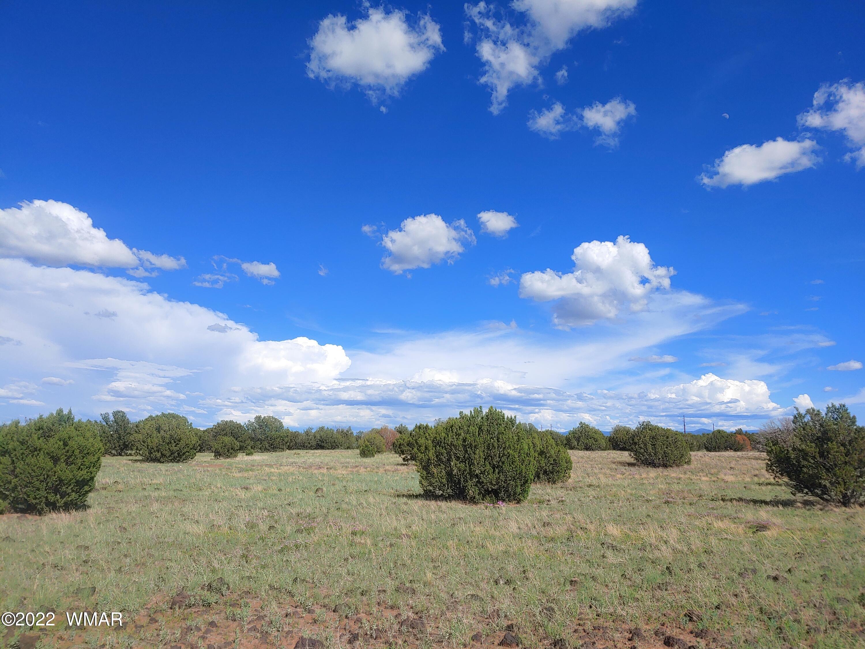 Tbd Kc Ranch Road Show Low, AZ 85901 - Photo 6 of 12