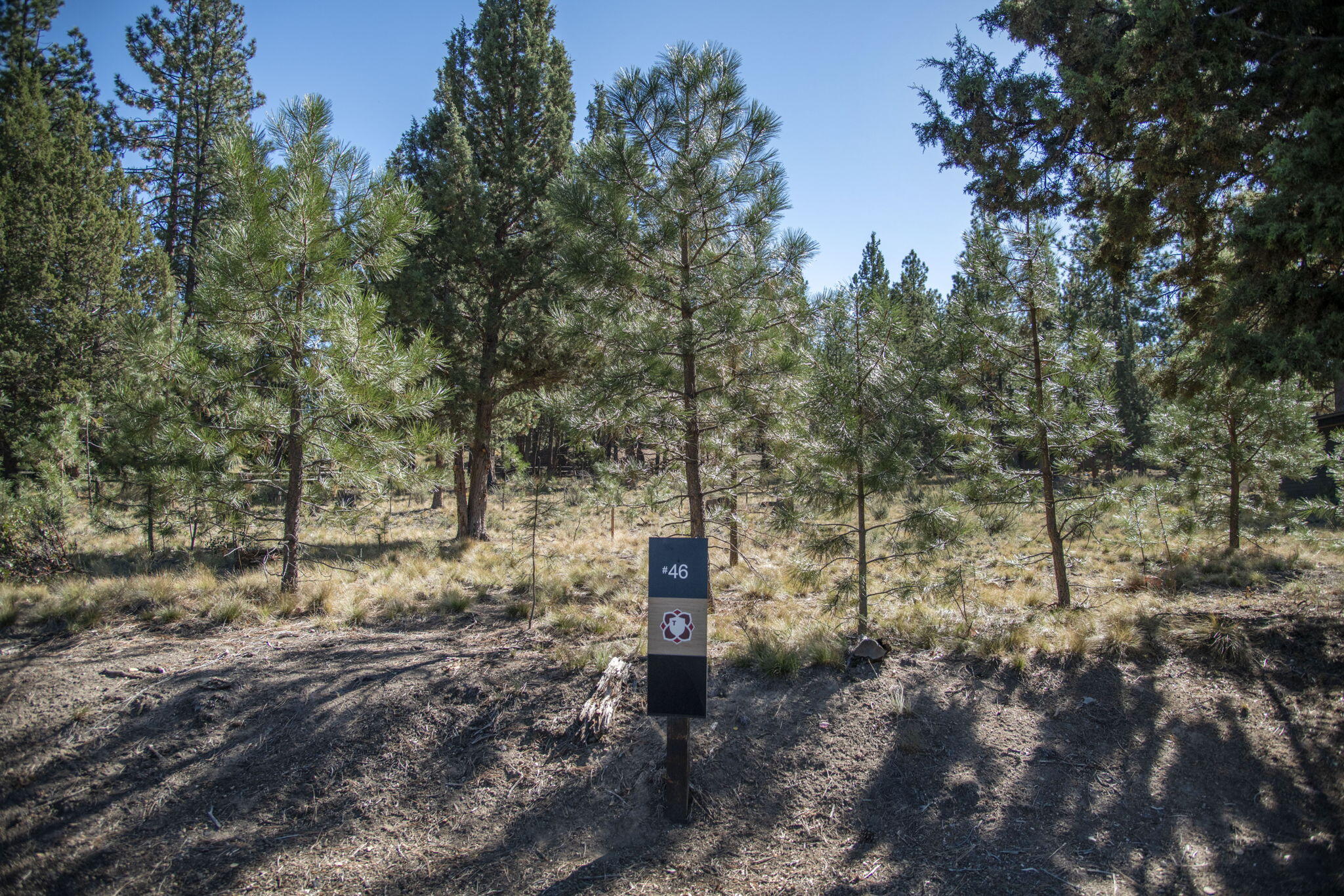 61482 Meeks Trail Bend, OR 97702 - Photo 1 of 11 Ready for your dream home in Tetherow!