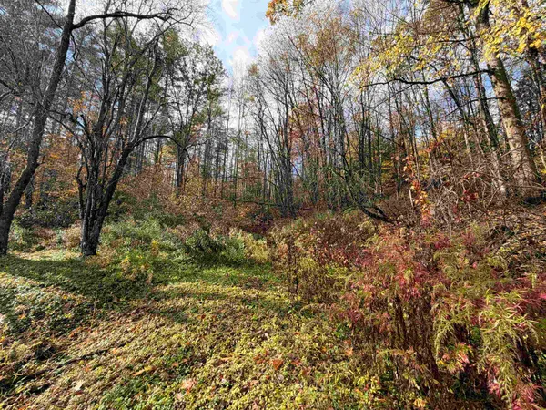 $175,000 | 778 Highway 100B, Moretown, VT 05660