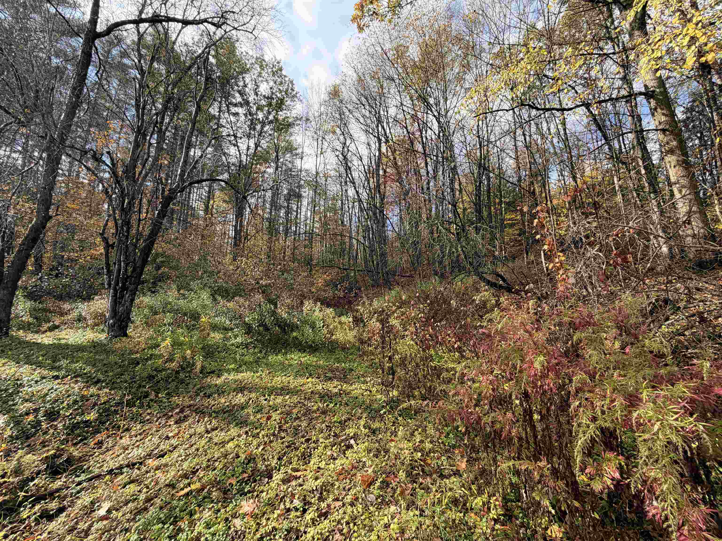 778 Highway 100B Moretown, VT 05660 - Photo 13 of 18