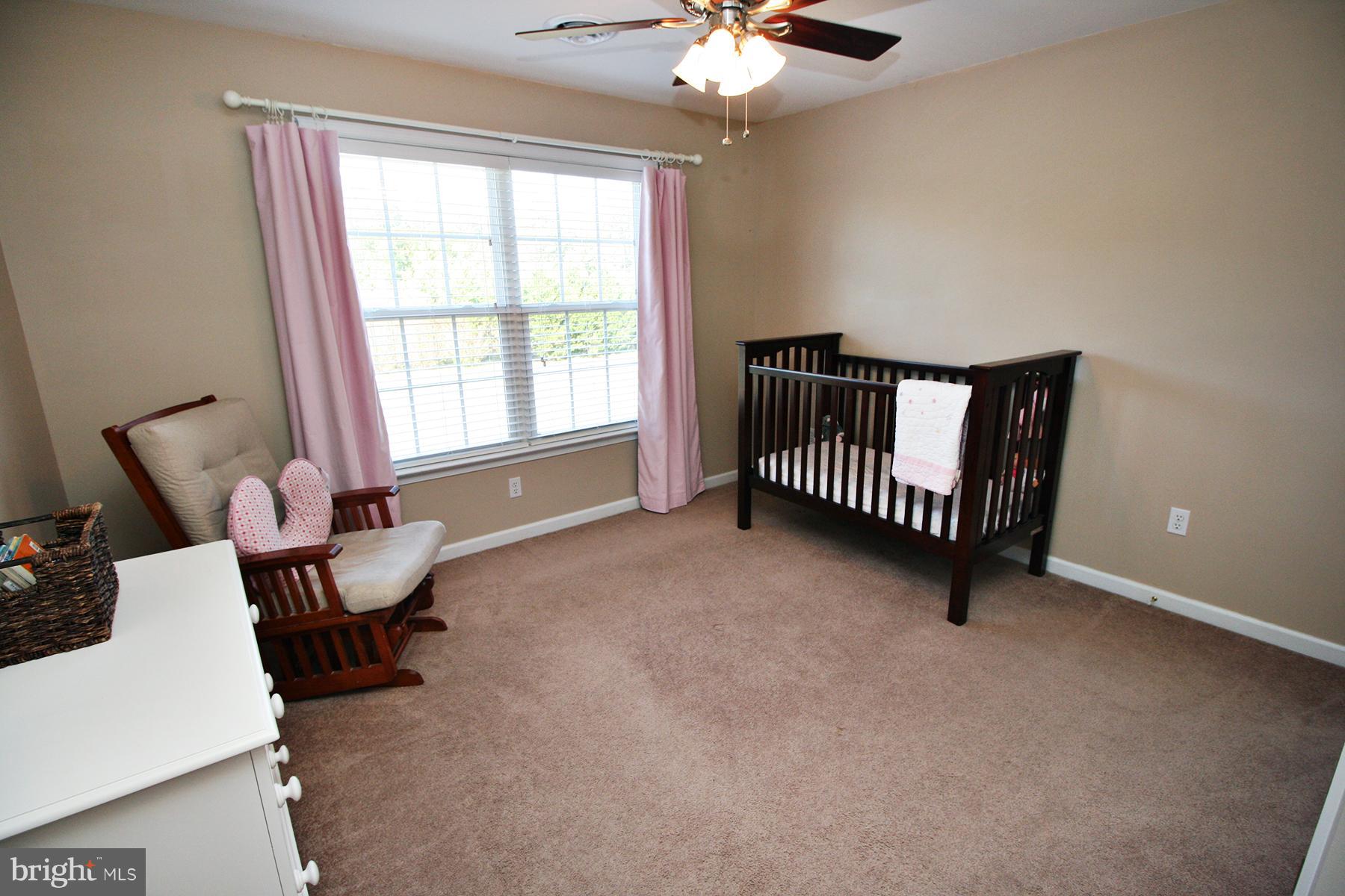 9096 Morgans Ridge Drive Delmar, MD 21875 - Photo 22 of 30 Basement