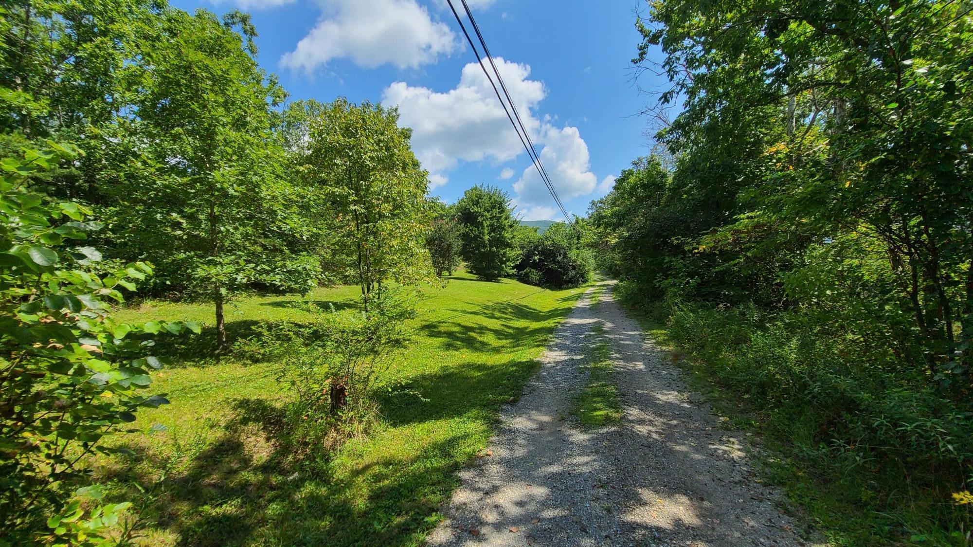 4051 Carterdell Road Salem, VA 24153 - Photo 12 of 36 Driveway