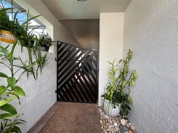 a view of a backyard