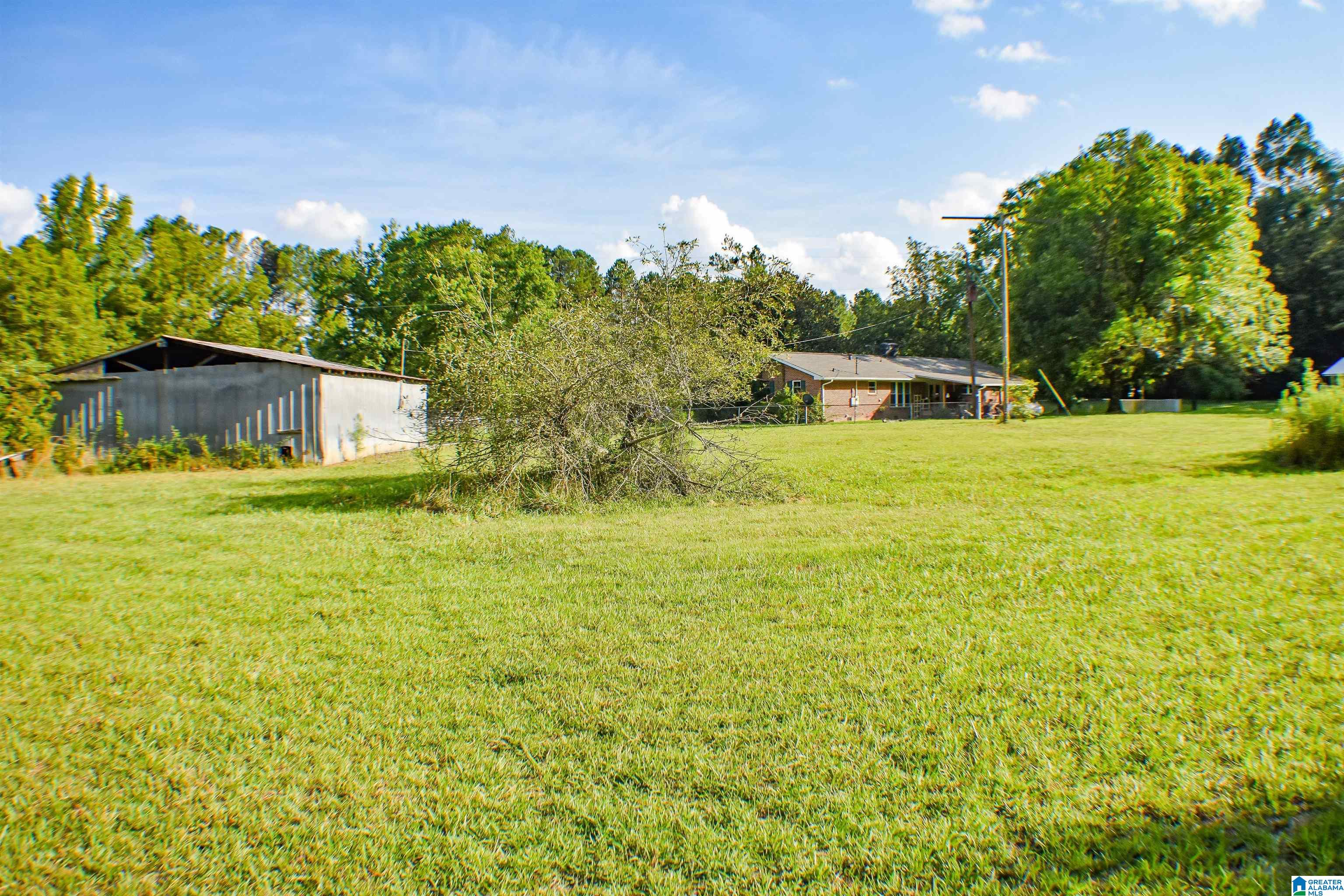 907 Law Martin Road Piedmont, AL 36272 - Photo 5 of 27