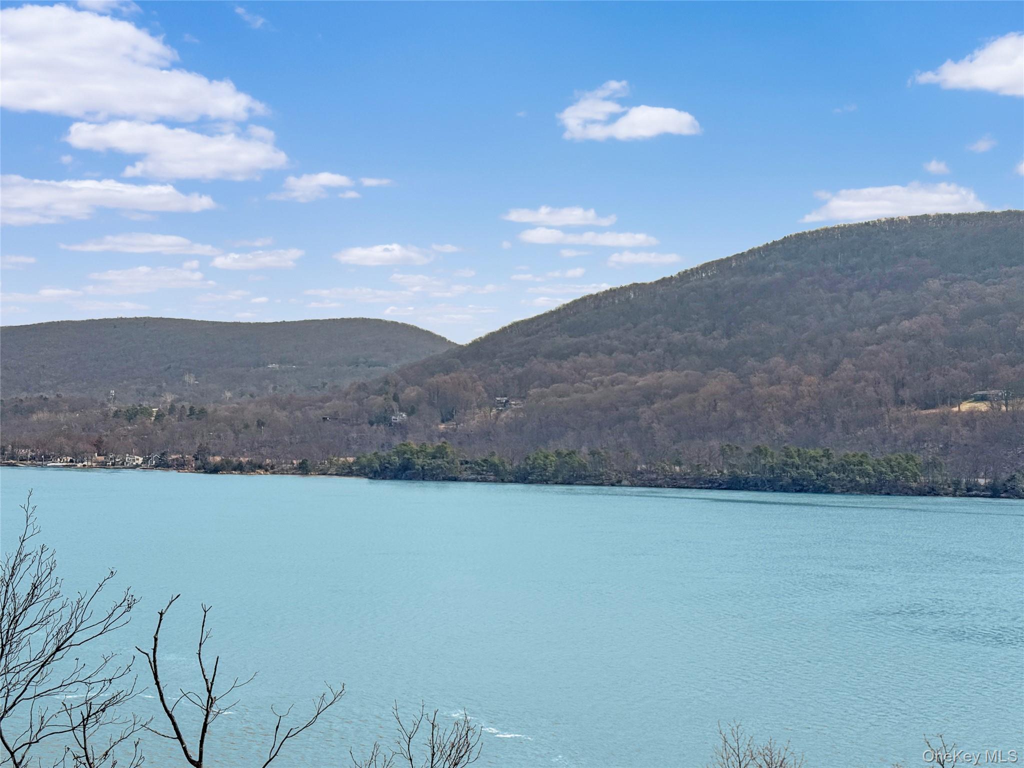 65 Mine Dock Road Fort Montgomery, NY 10922 - Photo 5 of 29