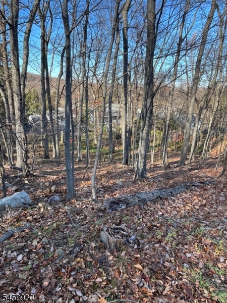 22 Mountain Road Denville, NJ 07834 - Photo 4 of 4 Gallery Image 4