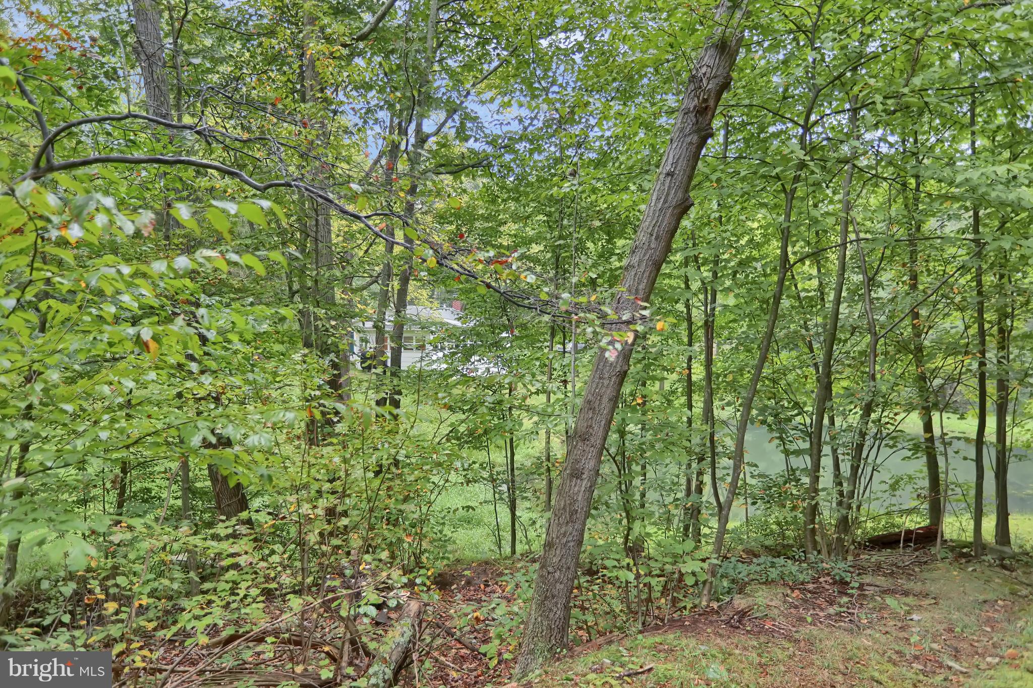 950 New Ridge Road Millerstown, PA 17062 - Photo 20 of 62 Gallery Image 20