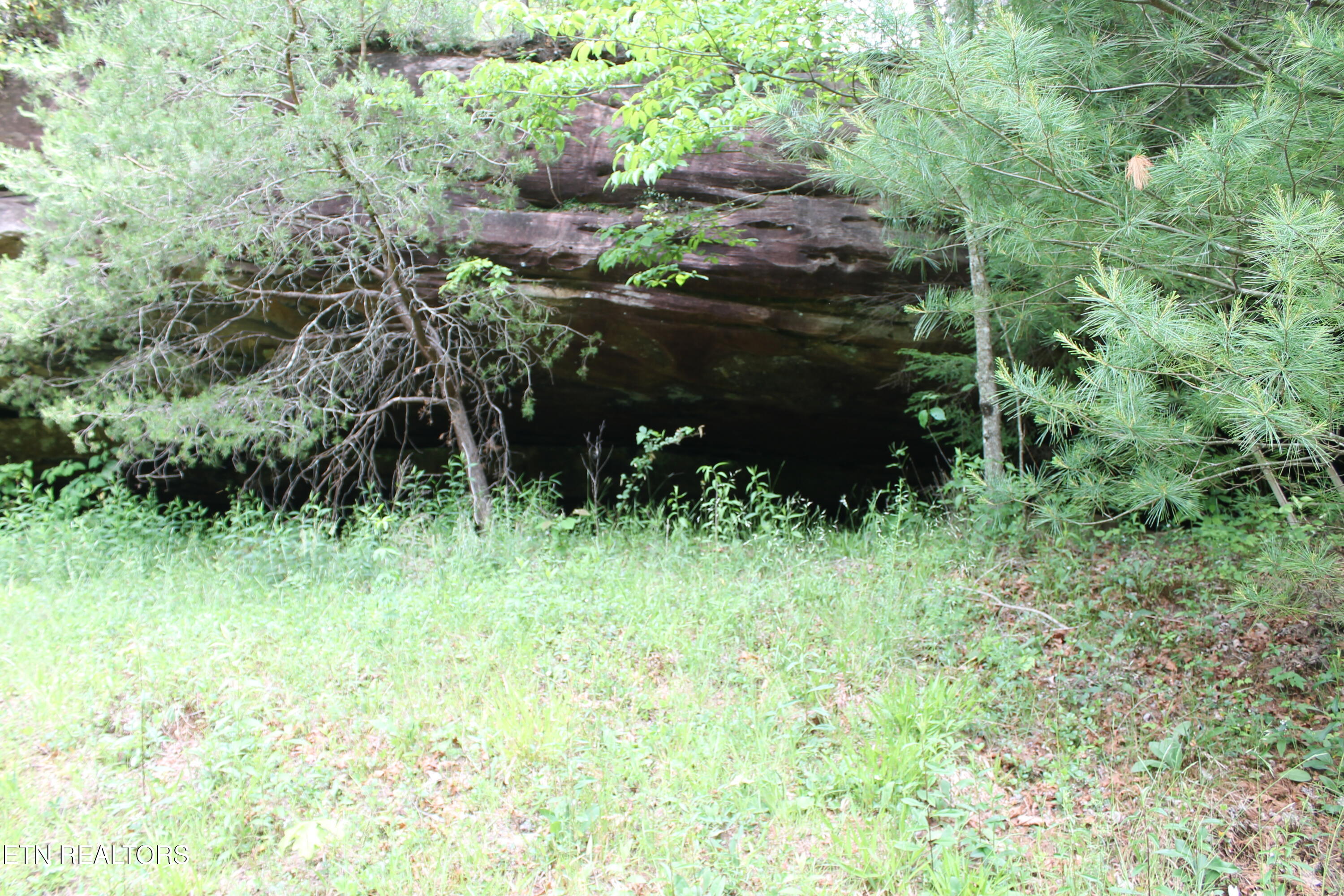232 Wright Cemetery Road Allardt, TN 38504 - Photo 29 of 39 IMG_8077