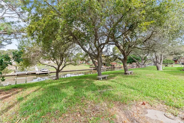 a view of backyard with tree