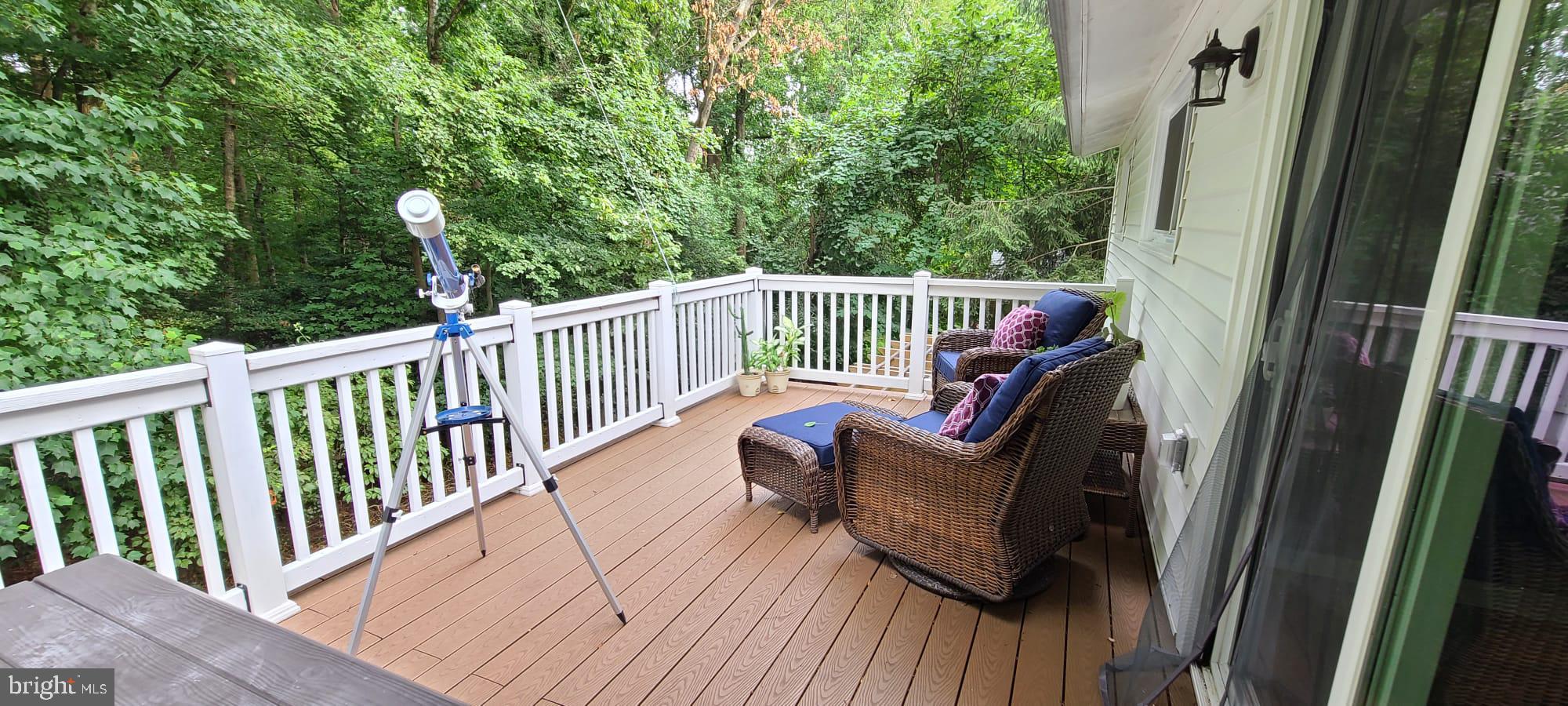 10817 Lombardy Road Silver Spring, MD 20901 - Photo 17 of 43