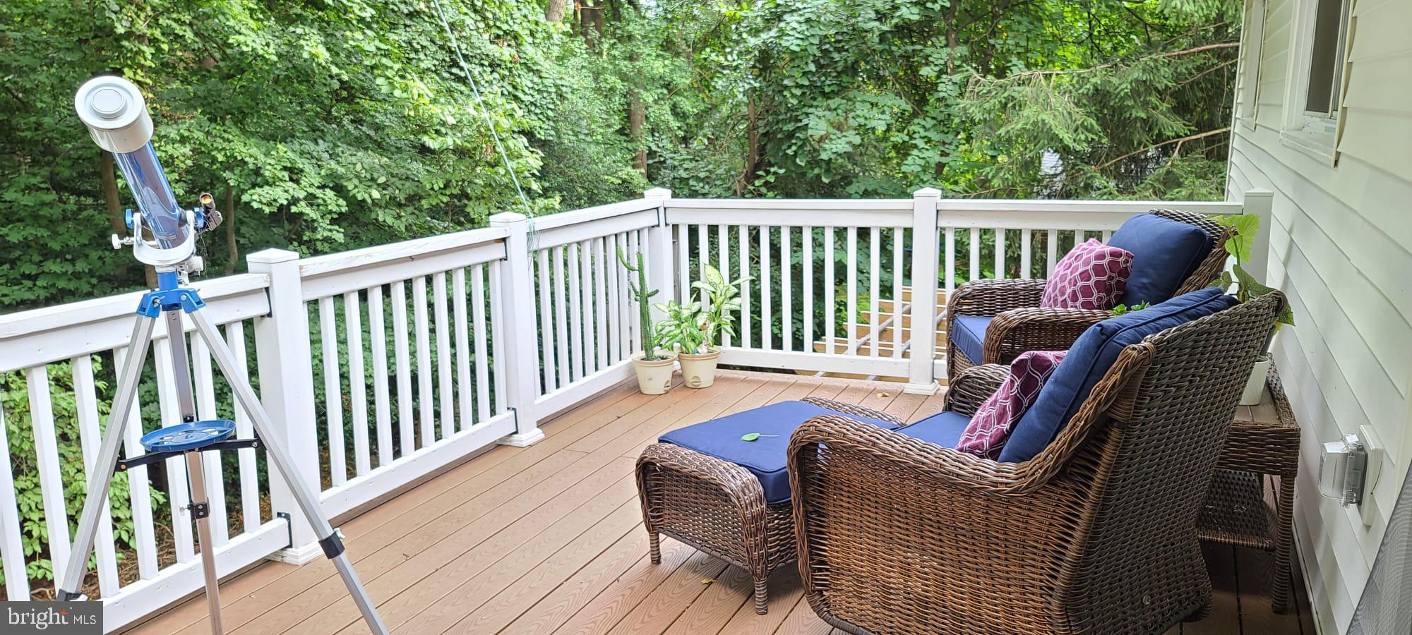 10817 Lombardy Road Silver Spring, MD 20901 - Photo 18 of 43