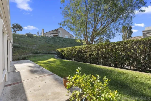 a view of a yard with a tree