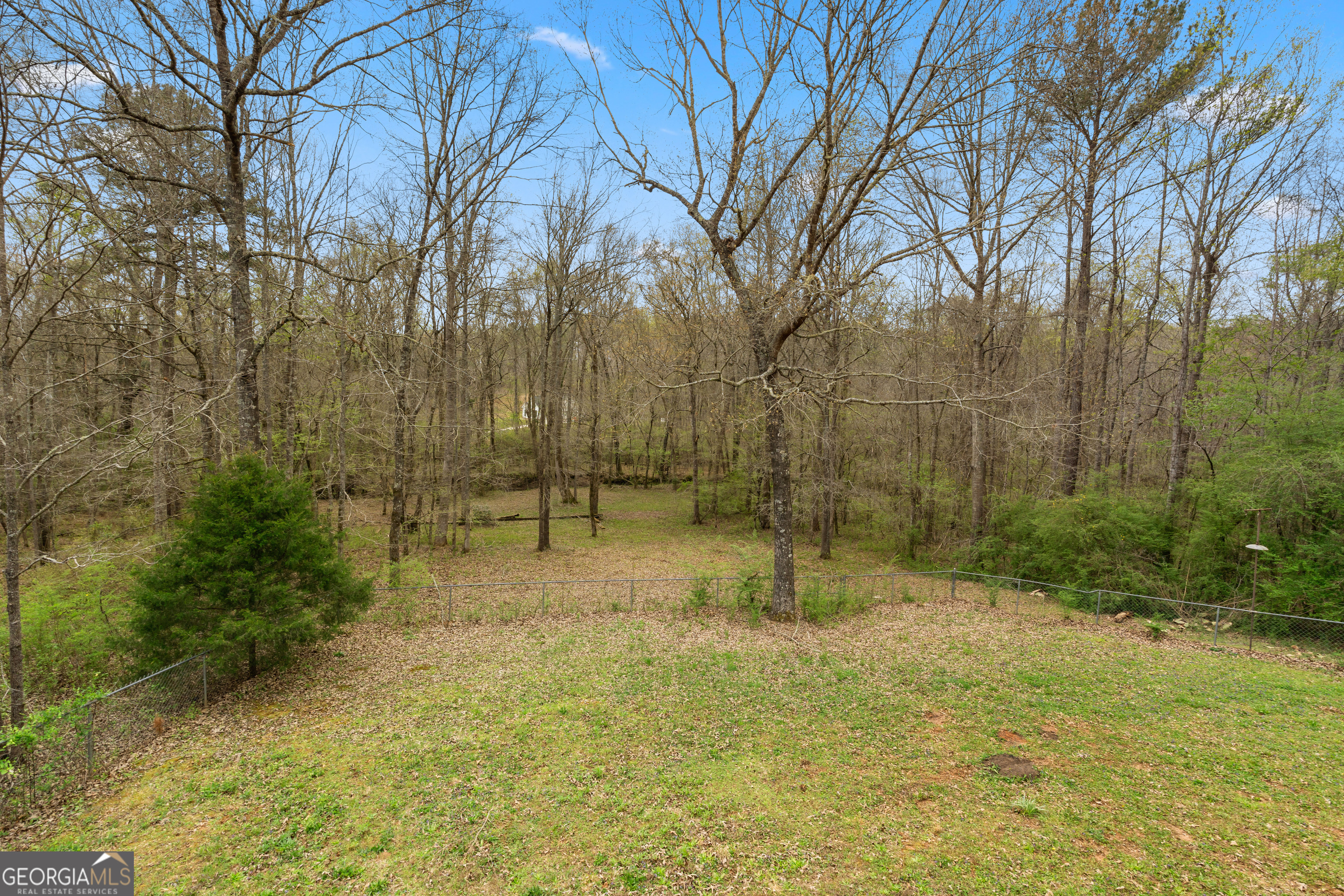 1229 Boggus Road Franklin, GA 30217 - Photo 32 of 68 a view of outdoor space and garden