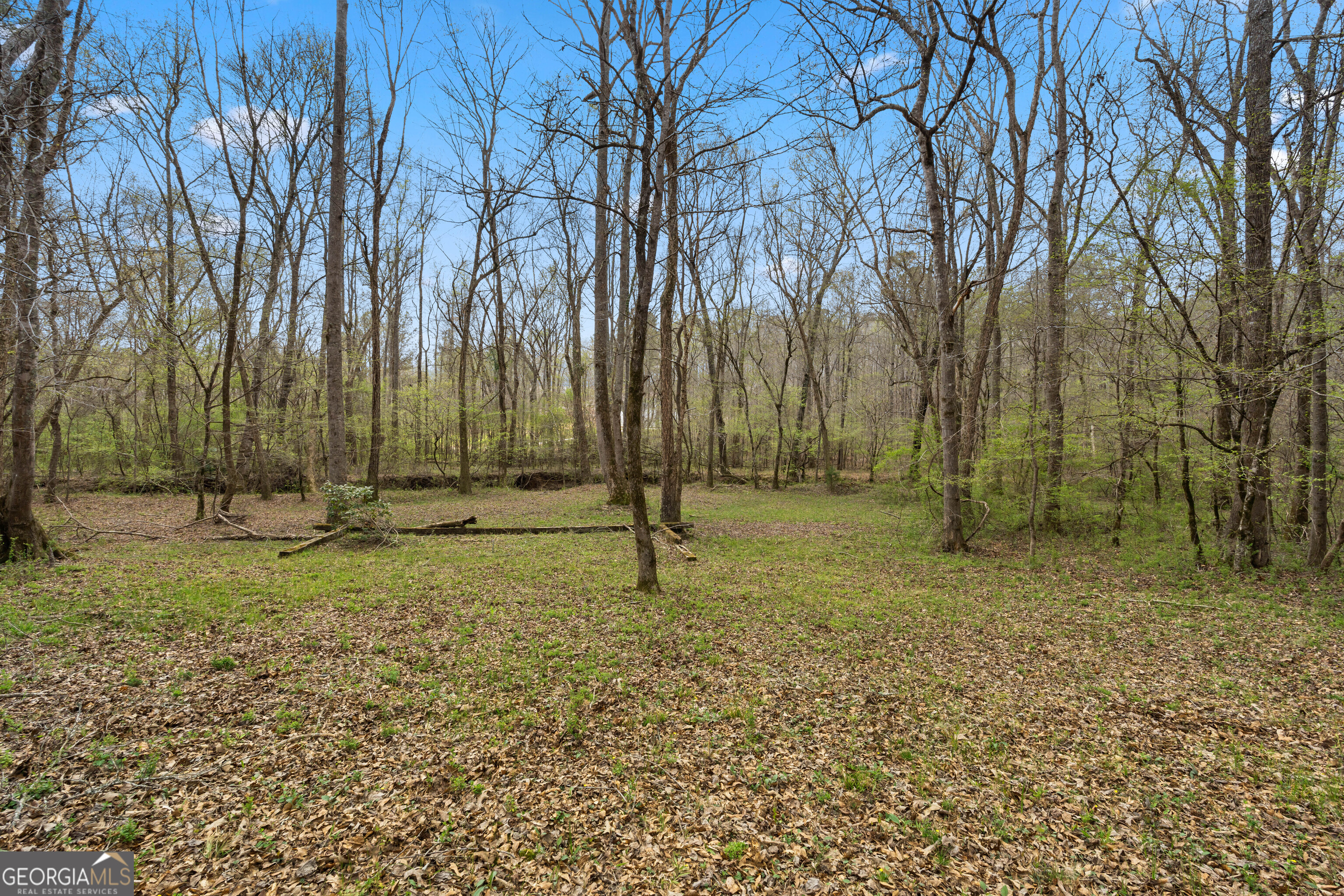 1229 Boggus Road Franklin, GA 30217 - Photo 54 of 68 a backyard of a house with lots of green space