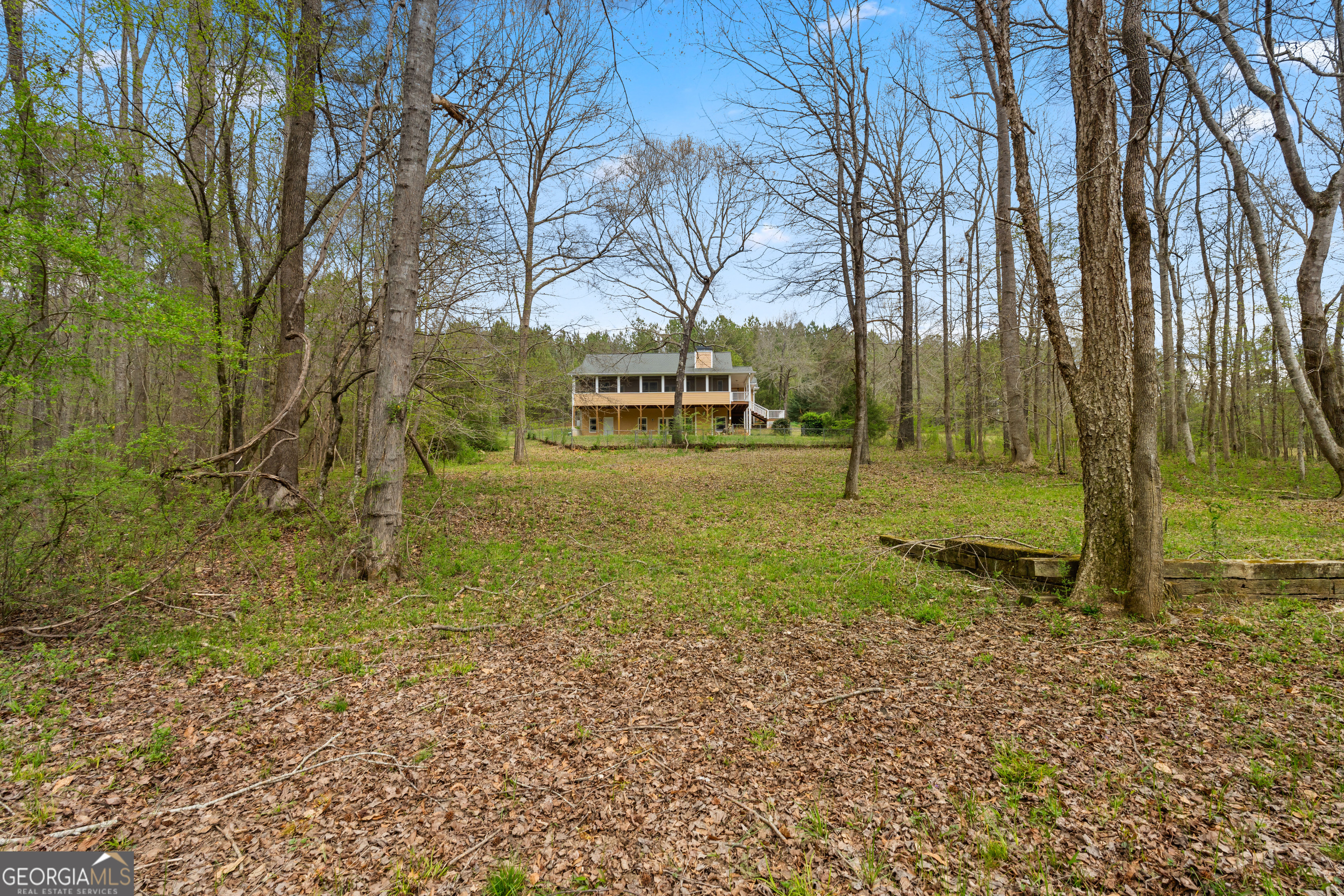 1229 Boggus Road Franklin, GA 30217 - Photo 55 of 68 a view of a yard with trees