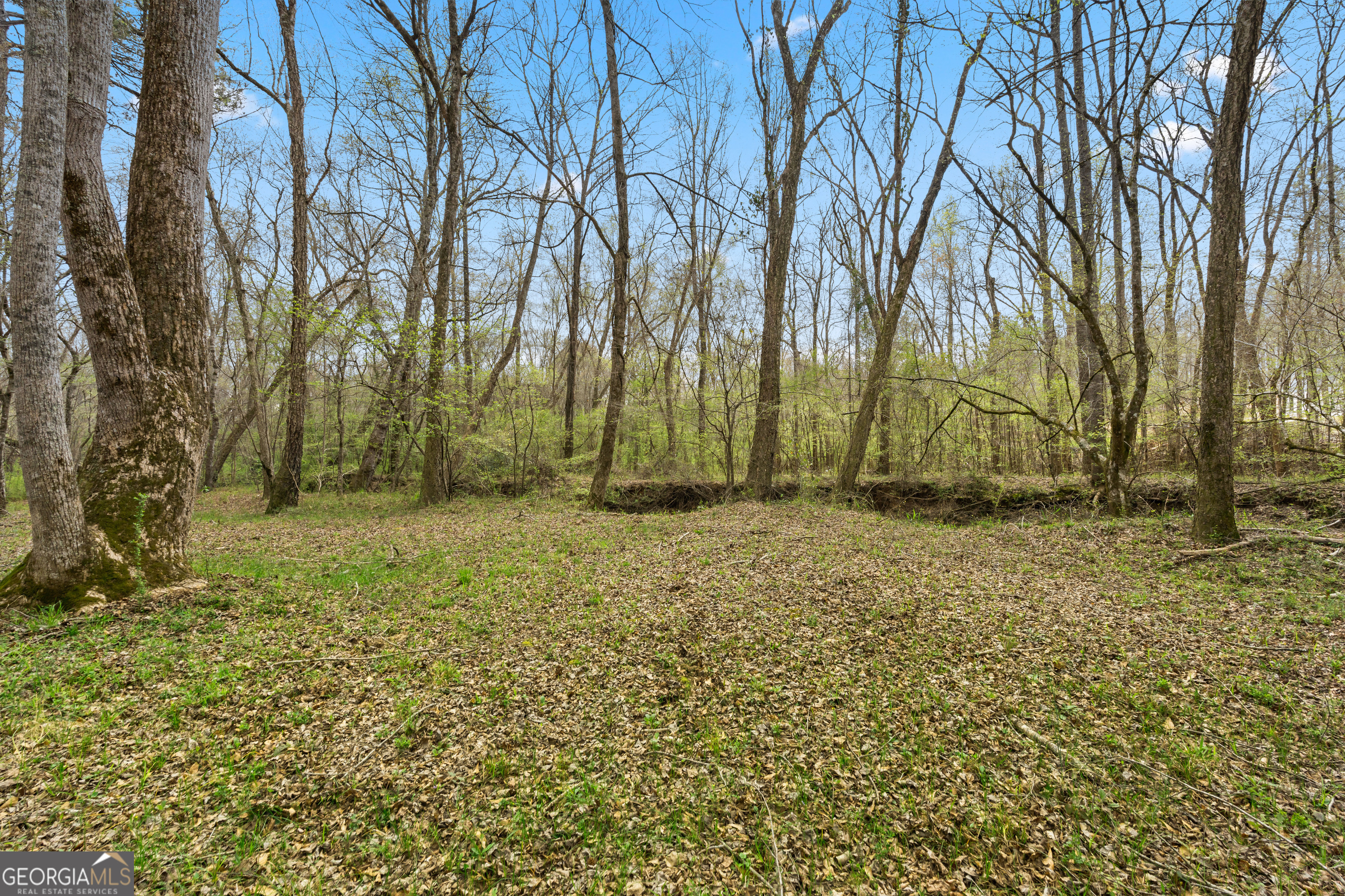 1229 Boggus Road Franklin, GA 30217 - Photo 56 of 68 a view of backyard space