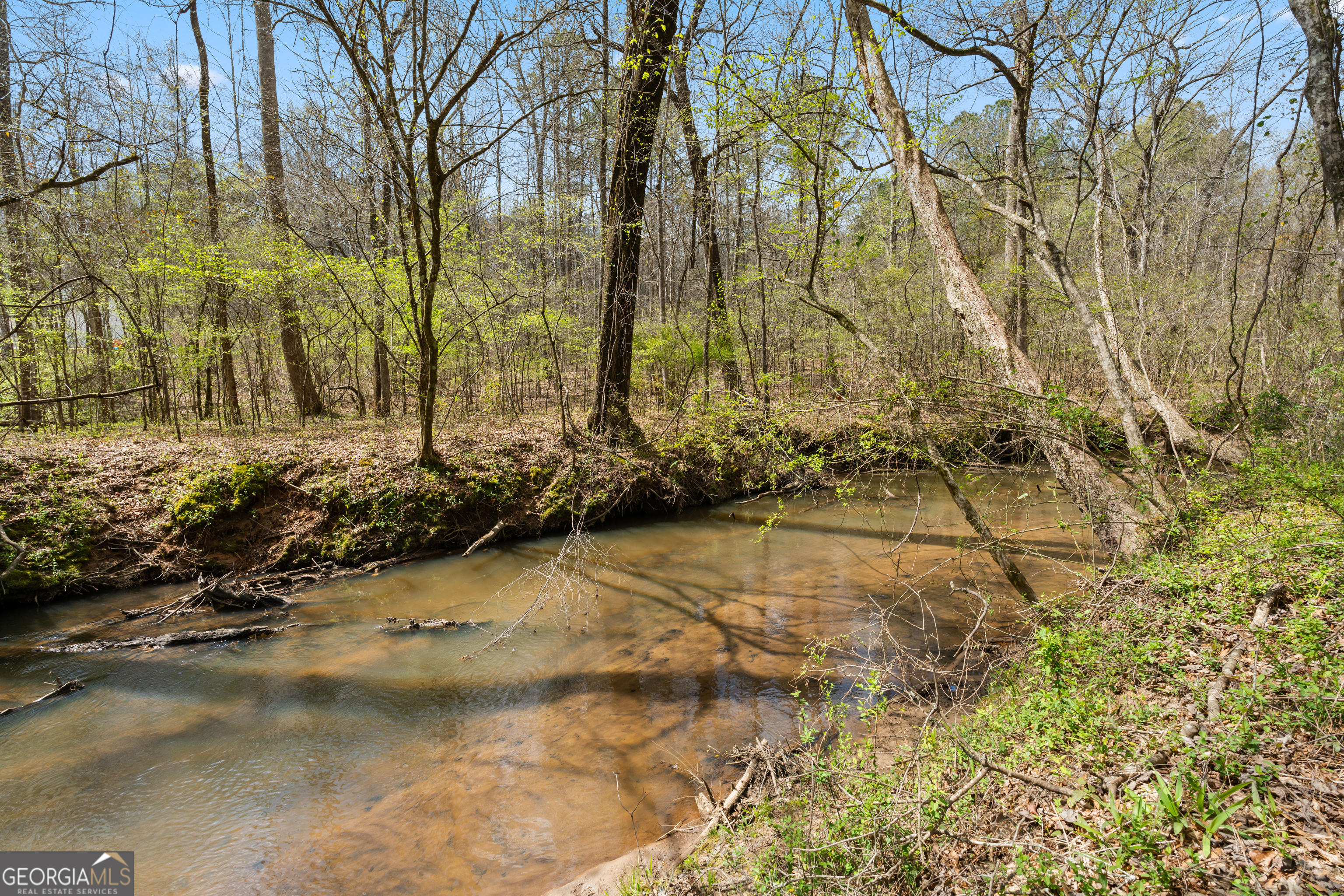 1229 Boggus Road Franklin, GA 30217 - Photo 60 of 68