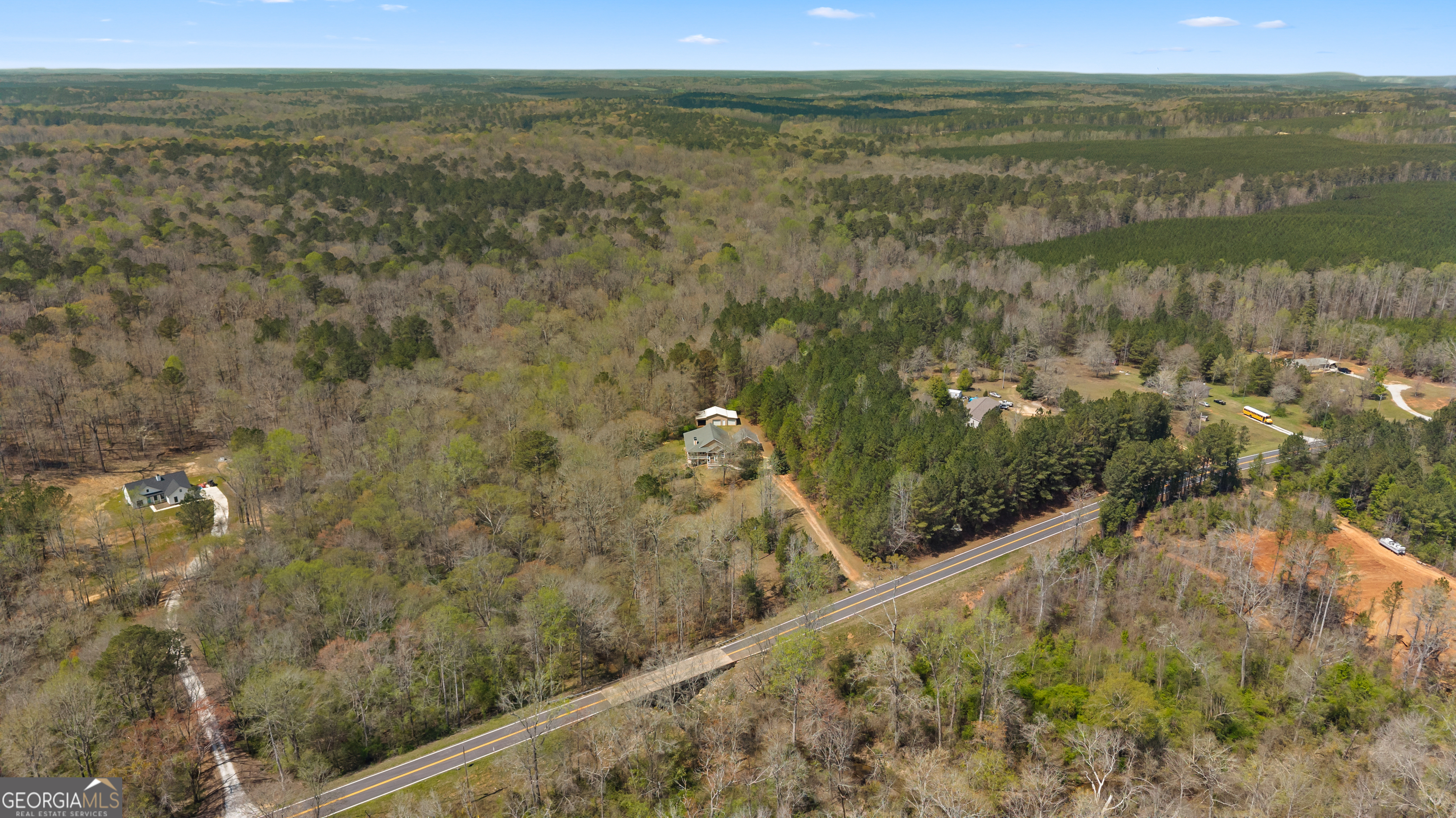 1229 Boggus Road Franklin, GA 30217 - Photo 63 of 68 a view of a lake with a mountain