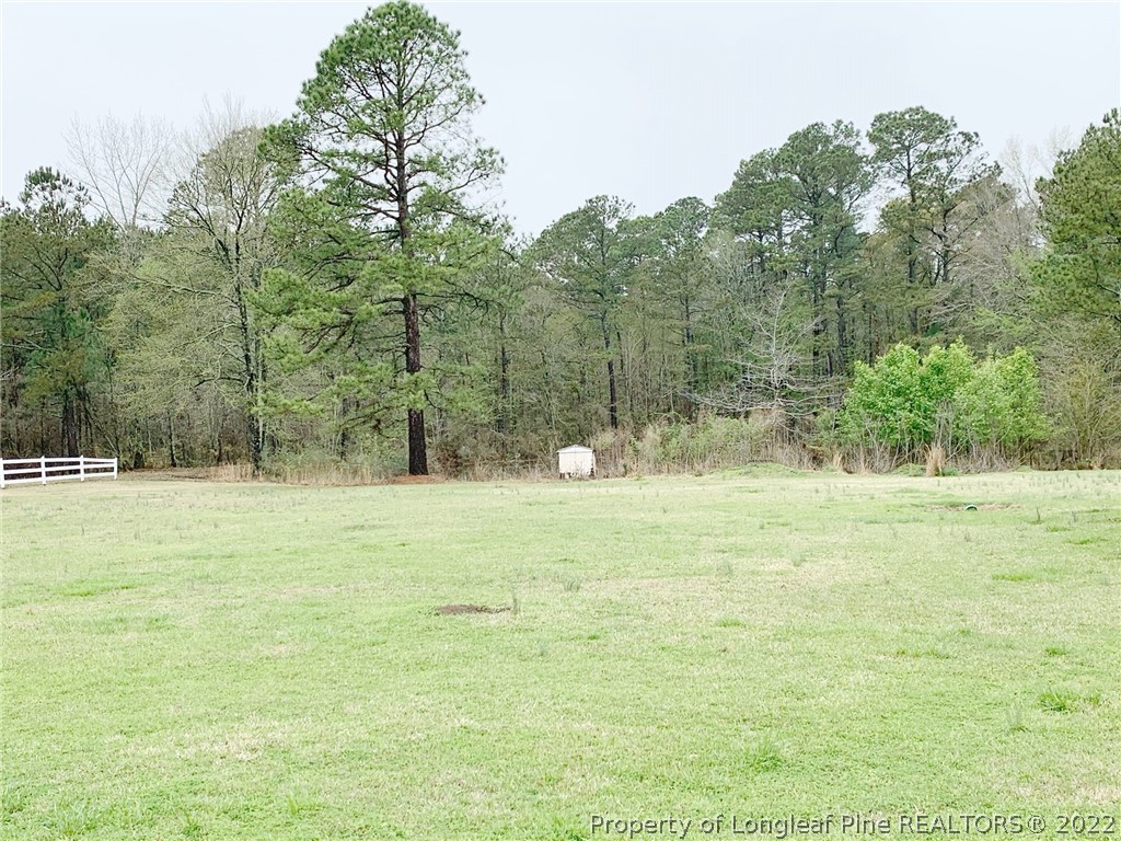 2748 Ava Road Autryville, NC 28318 - Photo 28 of 29 Gallery Image 28