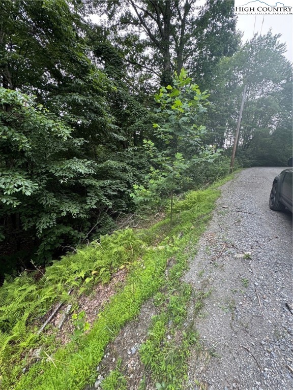 327 Locust Ridge Road Beech Mountain, NC 28604 - Photo 3 of 6 a view of a yard with plants and trees