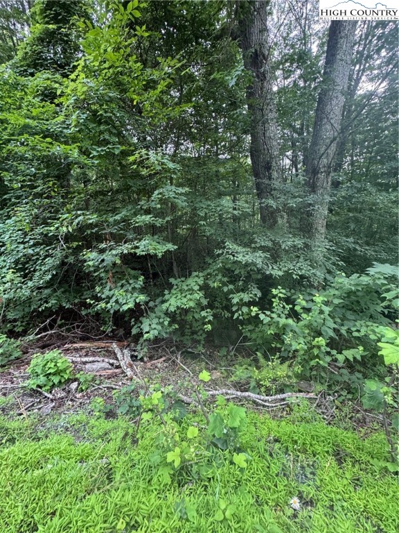 327 Locust Ridge Road Beech Mountain, NC 28604 - Photo 4 of 6