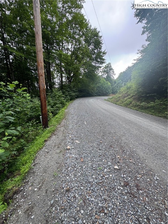 327 Locust Ridge Road Beech Mountain, NC 28604 - Photo 5 of 6 a view of a yard with a tree