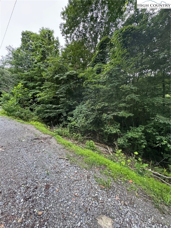 327 Locust Ridge Road Beech Mountain, NC 28604 - Photo 6 of 6 a view of a yard with a tree