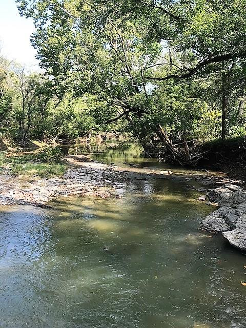 103-acres Sipple Road Dry Ridge, KY 41035 - Photo 1 of 21