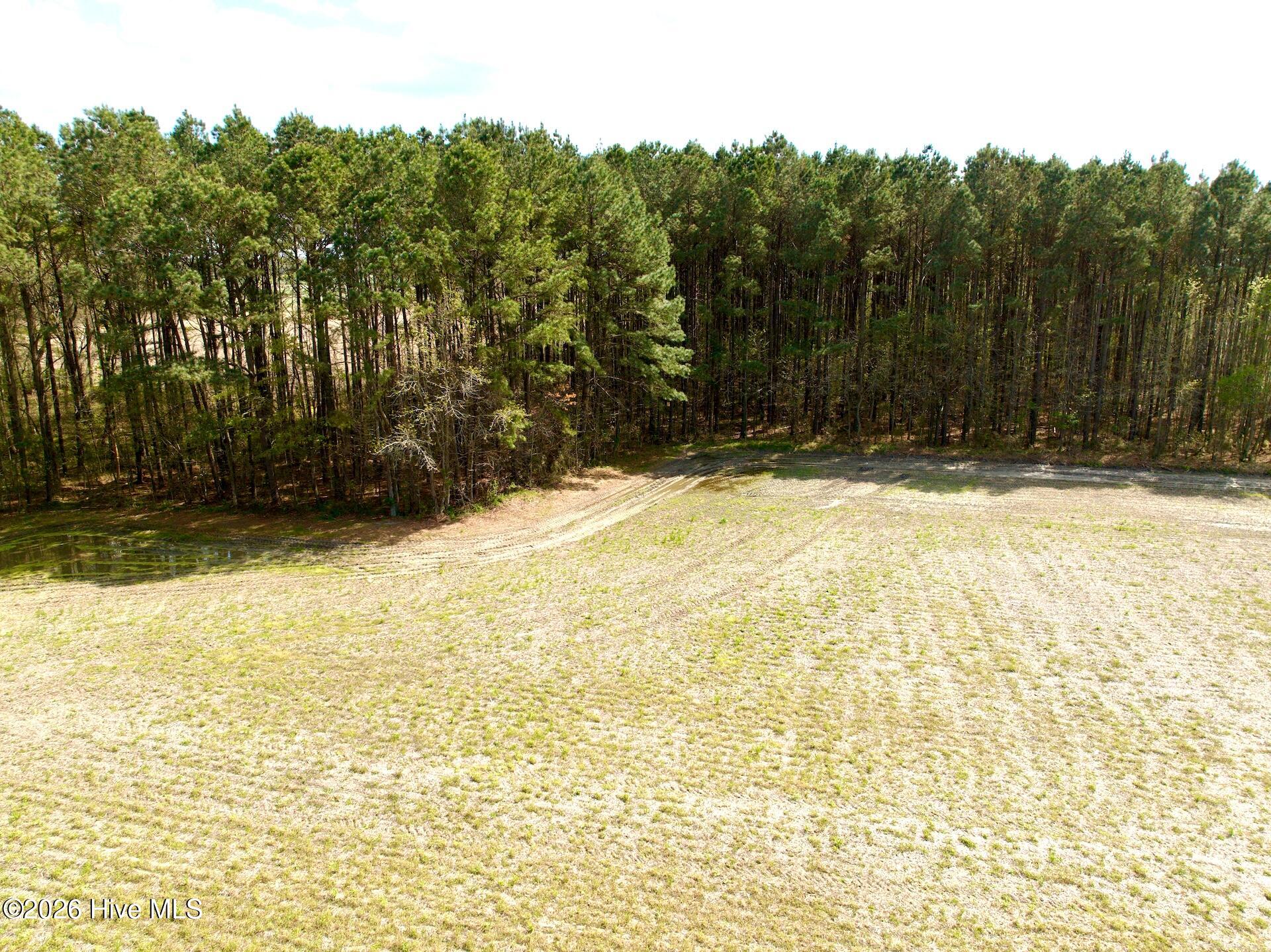 0 Middle Swamp Road Gates, NC 27937 - Photo 13 of 25 12