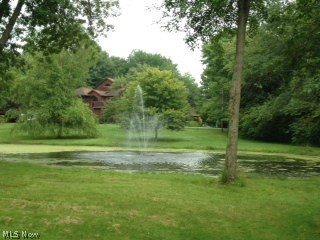 881 Ravenna Road Kent, OH 44240 - Photo 6 of 22 Pond in front yard!